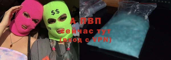 дживик Белокуриха