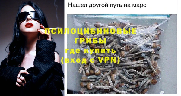 метадон Богородицк