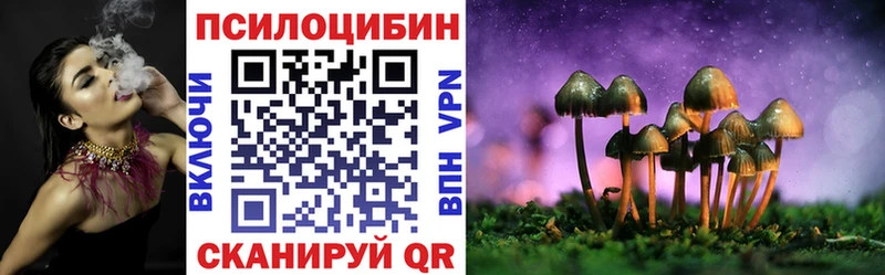 omg рабочий сайт  Павловск  Псилоцибиновые грибы Psilocybine cubensis 